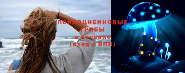 прущие крисы Кукмор