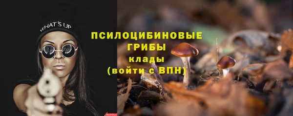 Альфа ПВП Нея